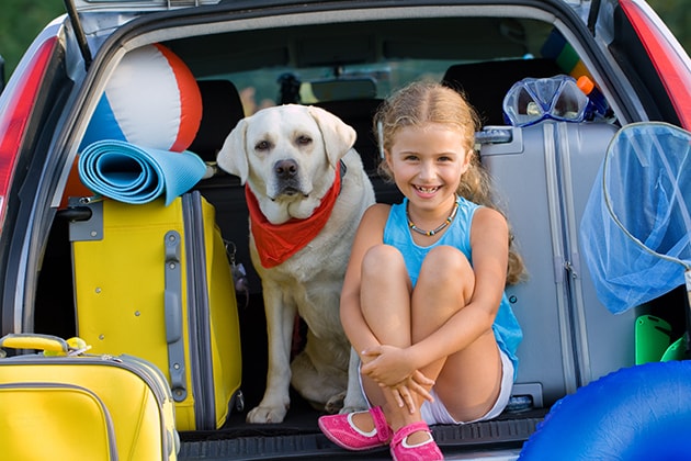 what to pack when traveling with pet